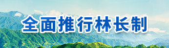 全面推行林長制度